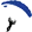 Logo Skydive ENPC