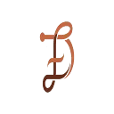 Logo van Data Folk
