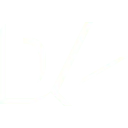 Logo Daan Venmans Cinematography