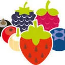 Logo Berry Briljant