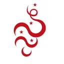 Logo C-tin camerabewaking