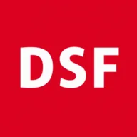 Logo DS Factoring