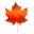 Logo Orange Tree Academy