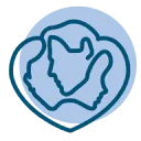 Logo van Solution Safari