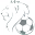Holland Football University logo