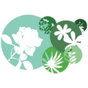Logo van Celieplant B.V.