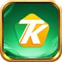 Logo Q13