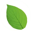 Logo Leaf Bloemen