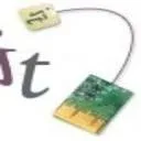 Logo ISeeTea