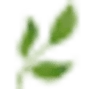 Logo Vakantieparken Weerribben Wieden