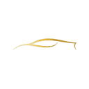 Logo Detail2Go