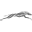 Logo Kú Cycle