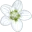Logo Hospice Parunashia