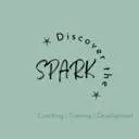 Logo Discover the Spark