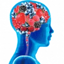 Logo van Body and Brains Produce
