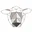 Logo Natalie Wool