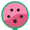 Logo Watermeln 🍉⚡