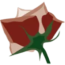 Logo ItalRosa