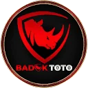 Logo BOOMERANG Items
