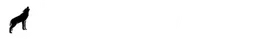 Logo THE FLOW PACK