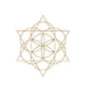 Logo van Living Chi
