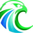 Logo van Falcon Focus Media