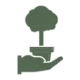 Logo Kadoboompje.nl