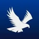 Logo Falcon Electric Aviation
