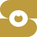 Logo Praktijk Bezingeving