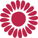 Logo Studio Magenta_nl