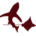 Logo Nederlandse Elasmobranchen Vereniging / Dutch Elasmobranch Society NEV