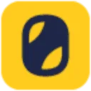 Logo Orka Synthetics BV