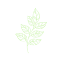 Logo Grace AND Goode