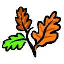 Logo Boomadviesdiensten Heusden
