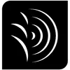 Logo Thijs Briels Tuinen