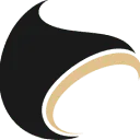 Logo Tapeso Vloerkleden