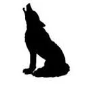 Logo Creative Dogs