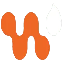 Digital Enthusiastic logo