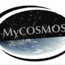 Logo Finance_Professional@mycosmos