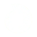 Logo Patagonia Beach