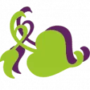Logo NEI Coaching Gelderland