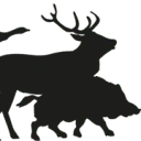 Logo Praktijk Centrum Jacht AND Fauna