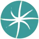 Logo Praktijk Benbiao Acupunctuur