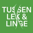 Logo Leerdamglasstad.nl