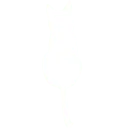 Logo van SocialGatto