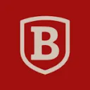 Logo Bloomline.Net