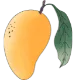 Logo Mango deSign Webdesign