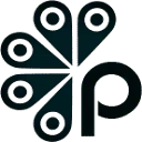 Logo Pauw Projects AND Consultancy