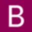 Logo Bouwinvest Real Estate Investors