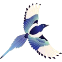 Logo van IMYY